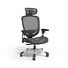 Hyken Ergonomic Mesh Swivel Task Chair